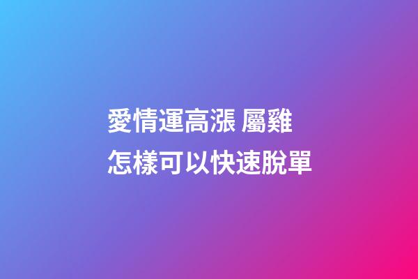 愛情運高漲 屬雞怎樣可以快速脫單